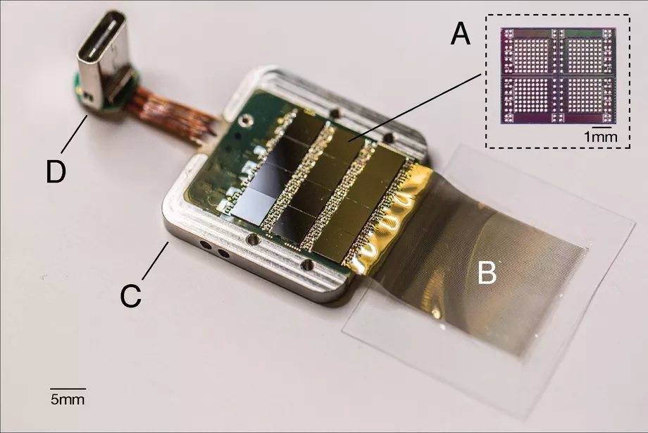Neuralink chip, amely felerősíti a jeleket és számítógépre továbbítja